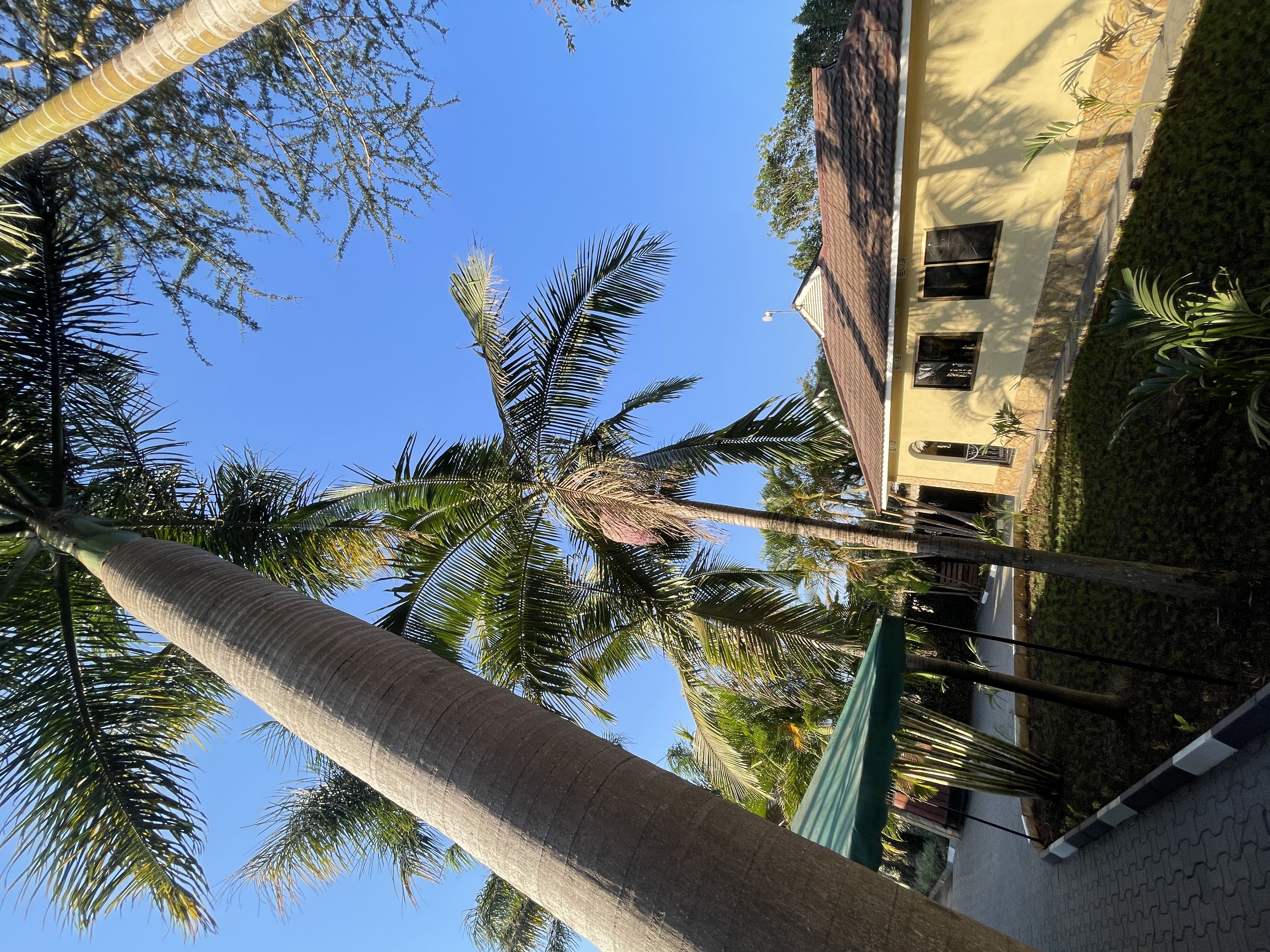 Arushaoutdoor