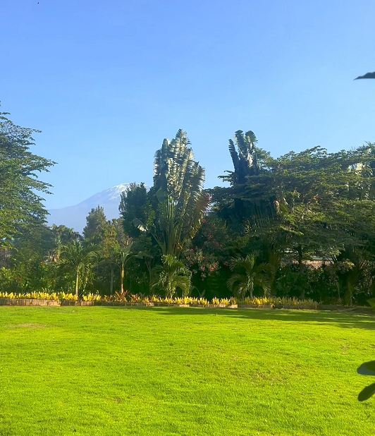 Mt. Kilimanjaro View
